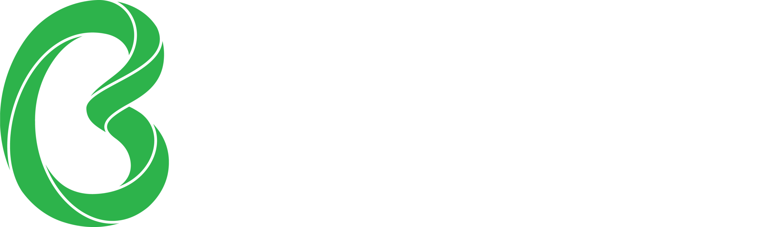 Benifex_Logo_OnDark_RGB